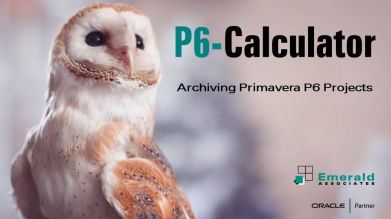 Archiving Primavera P6 Projects with the P6-Calculator
